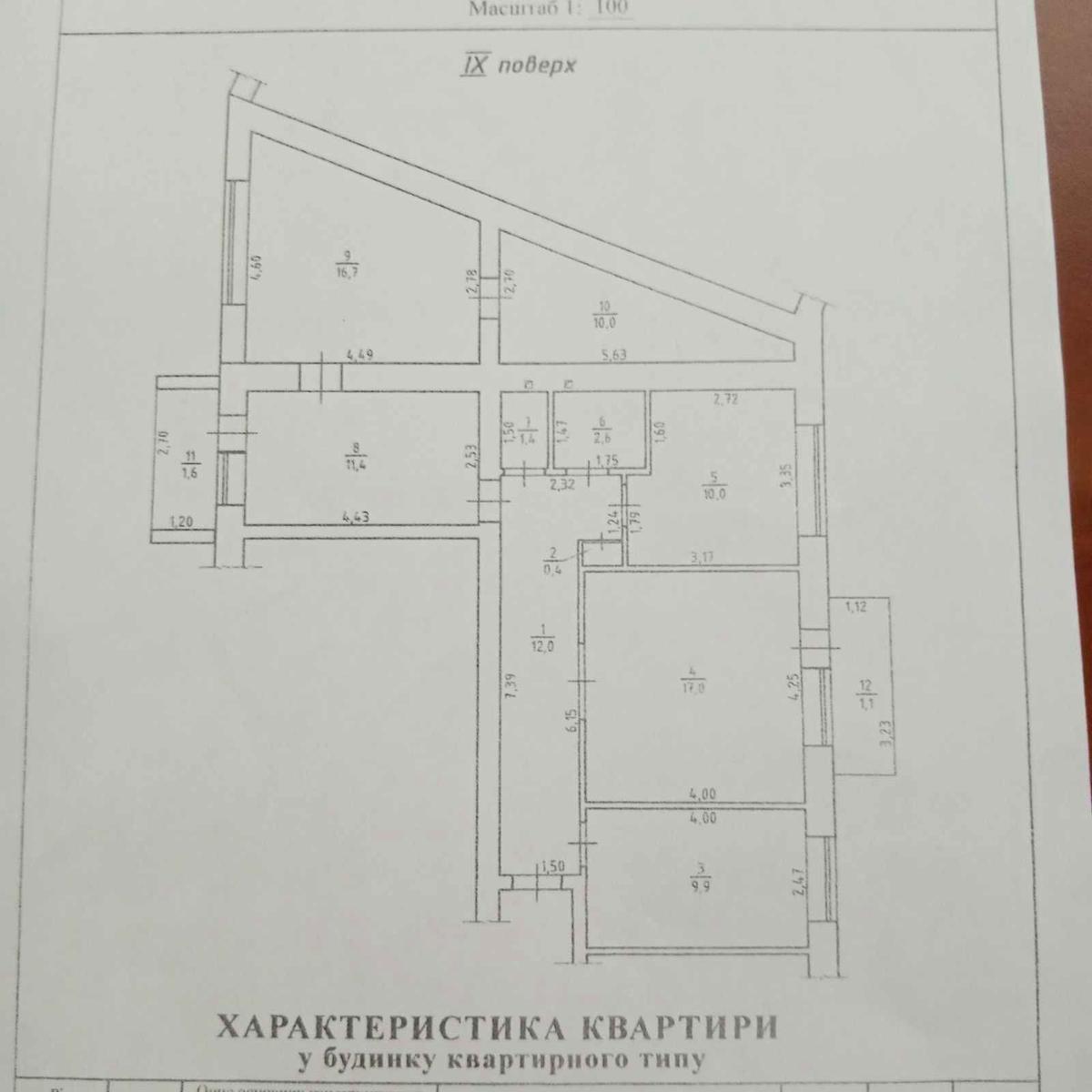 1844332258904304.jpg