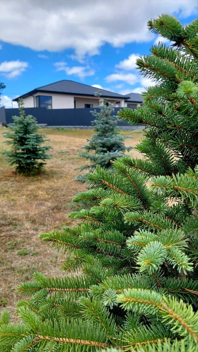 House by the address st. Odesskaya (area 115 m²) - Atlanta.ua - photo 23