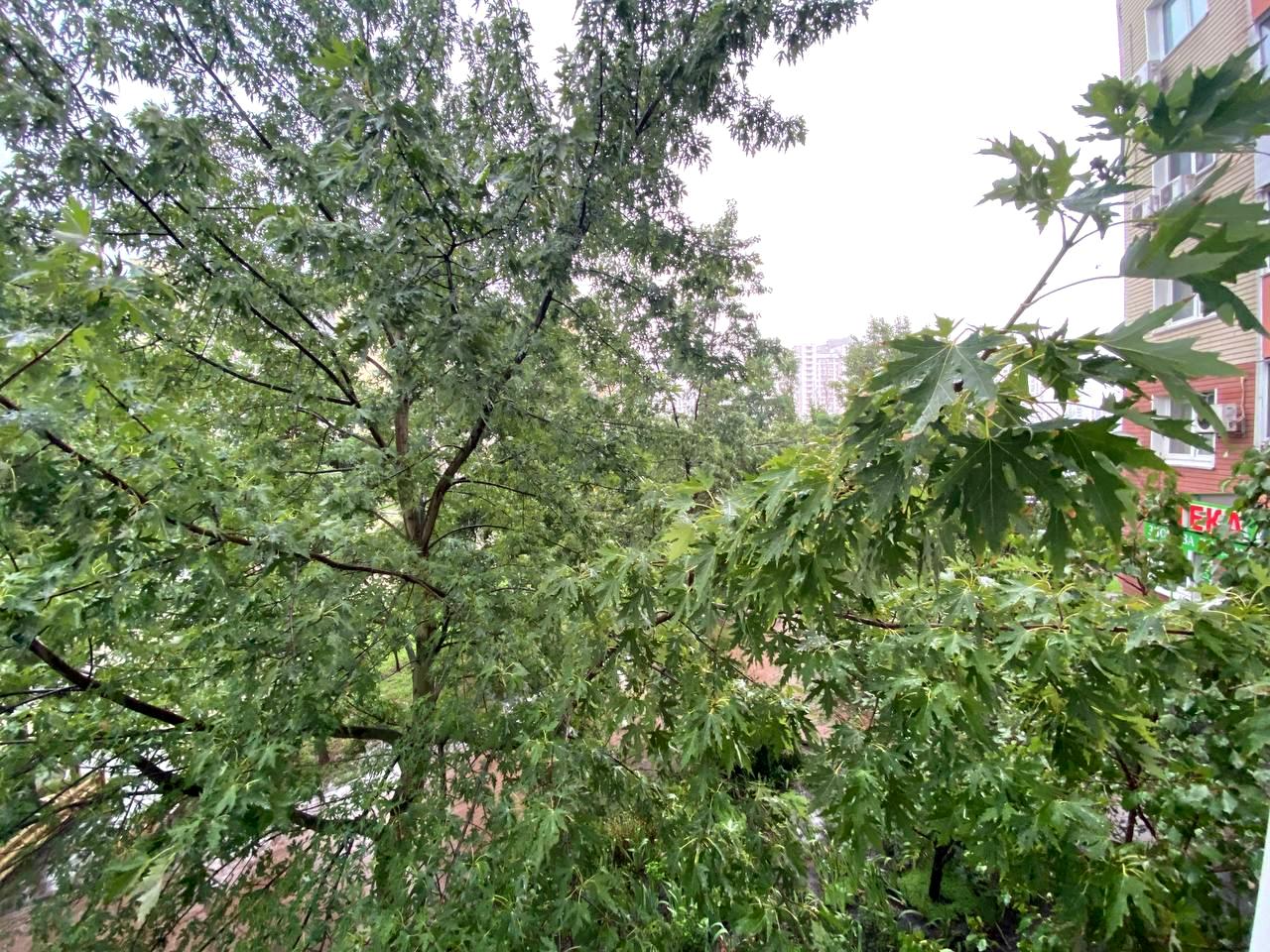 3-rooms apartment apartment by the address st. Ul Miloslavskaya (area 91 m²) - Atlanta.ua - photo 11