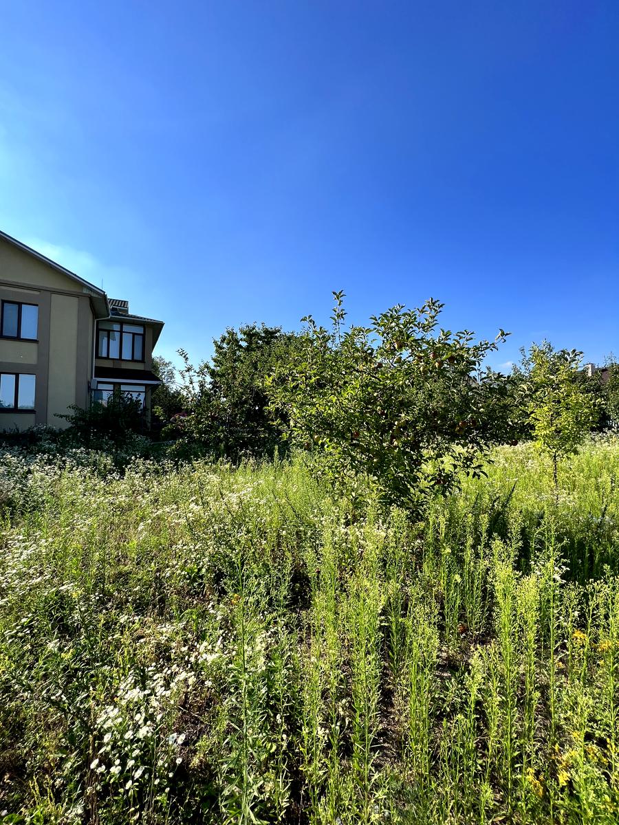 Дом по адресу (площадь 305 м²) - Atlanta.ua - фото 98