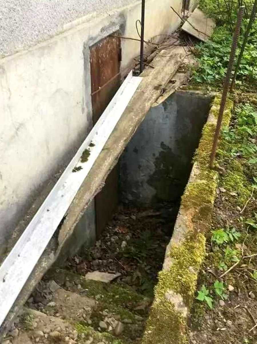 1790981223177319