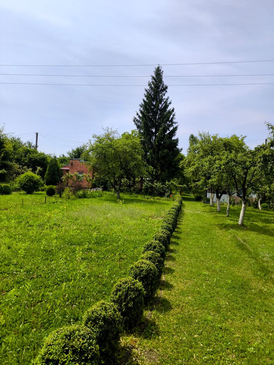 1834647471725321