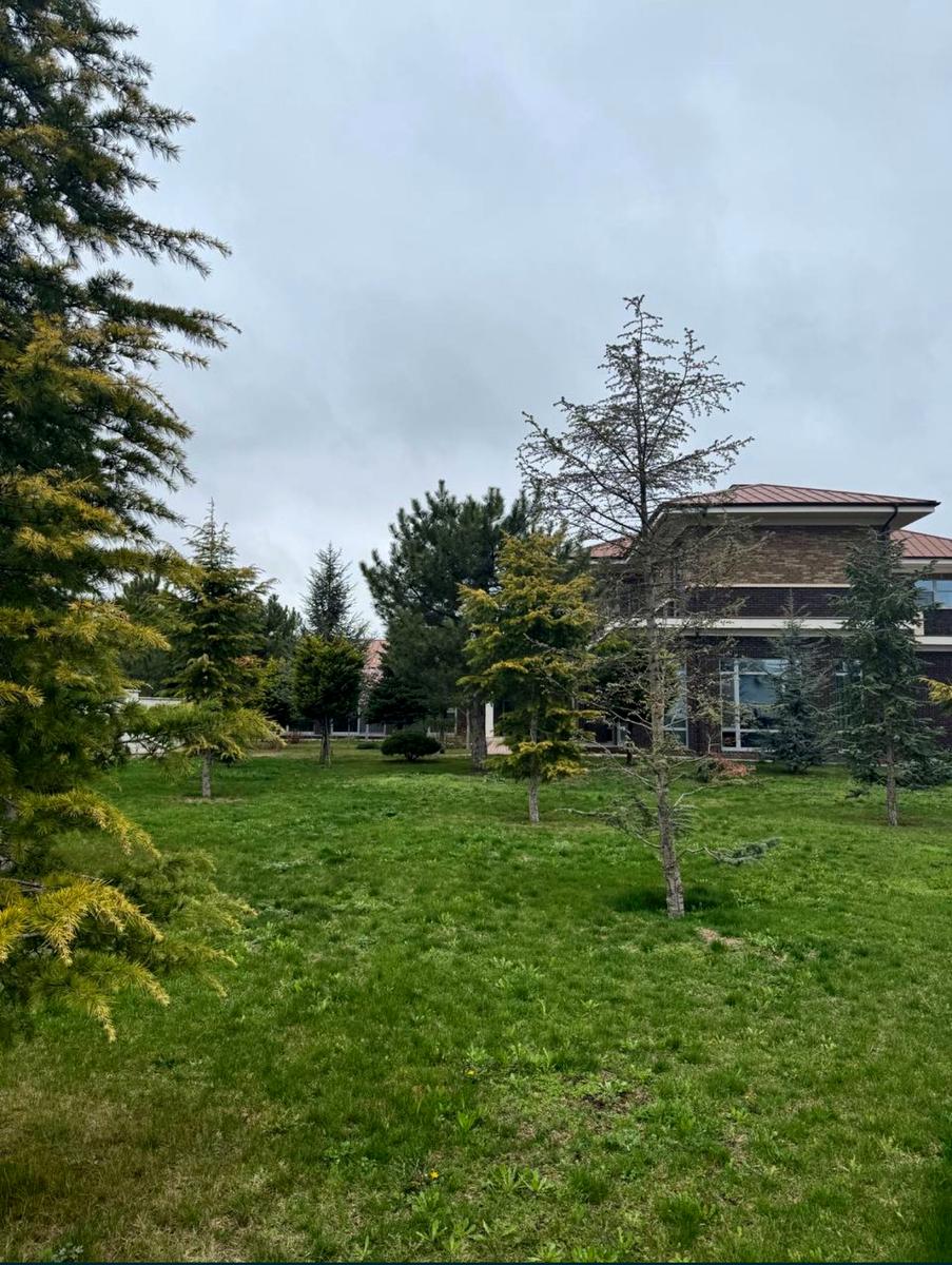 Будинок за адресою вул. Велика садова (площа 800 м²) - Atlanta.ua - фото 7