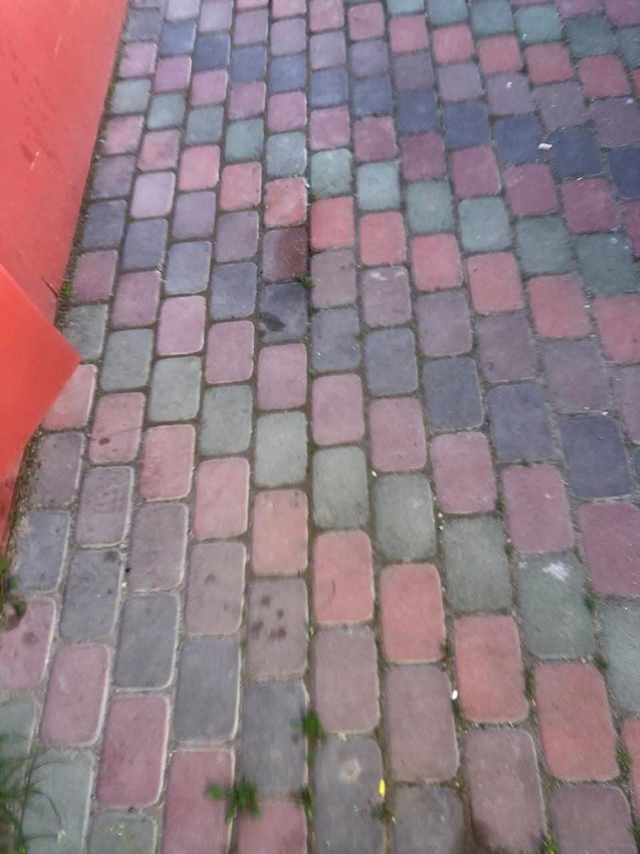 1846516601627337