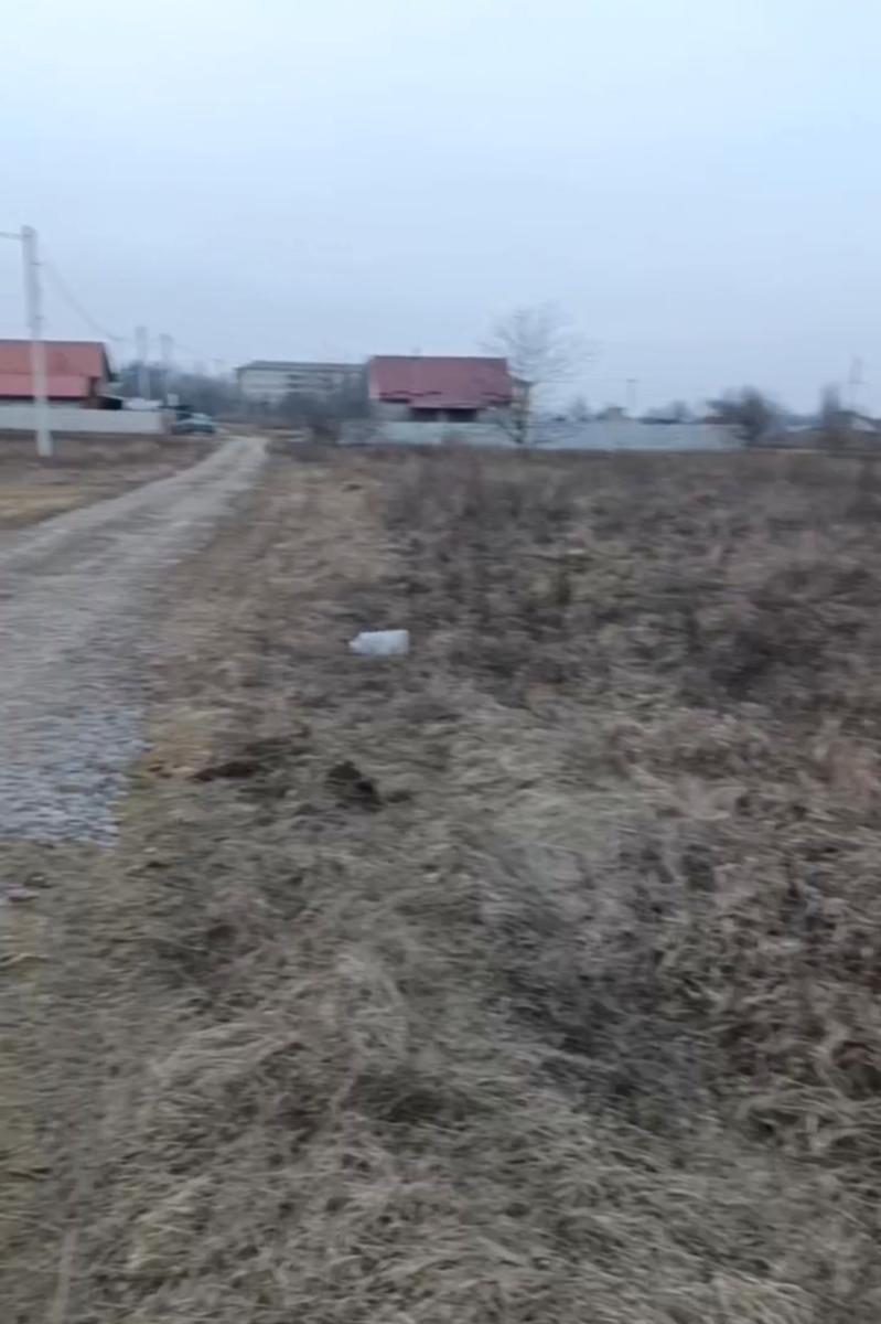 1823771538100339