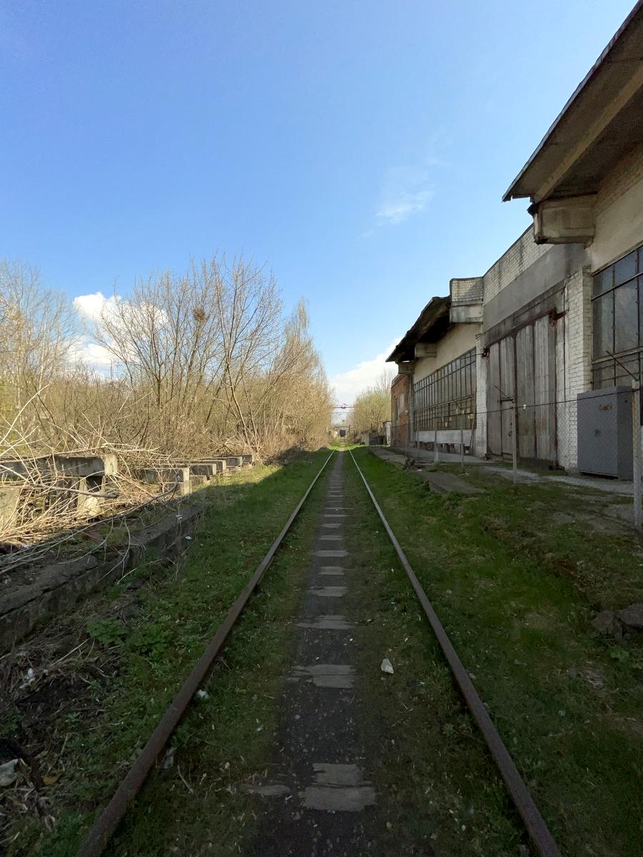1762905113376341