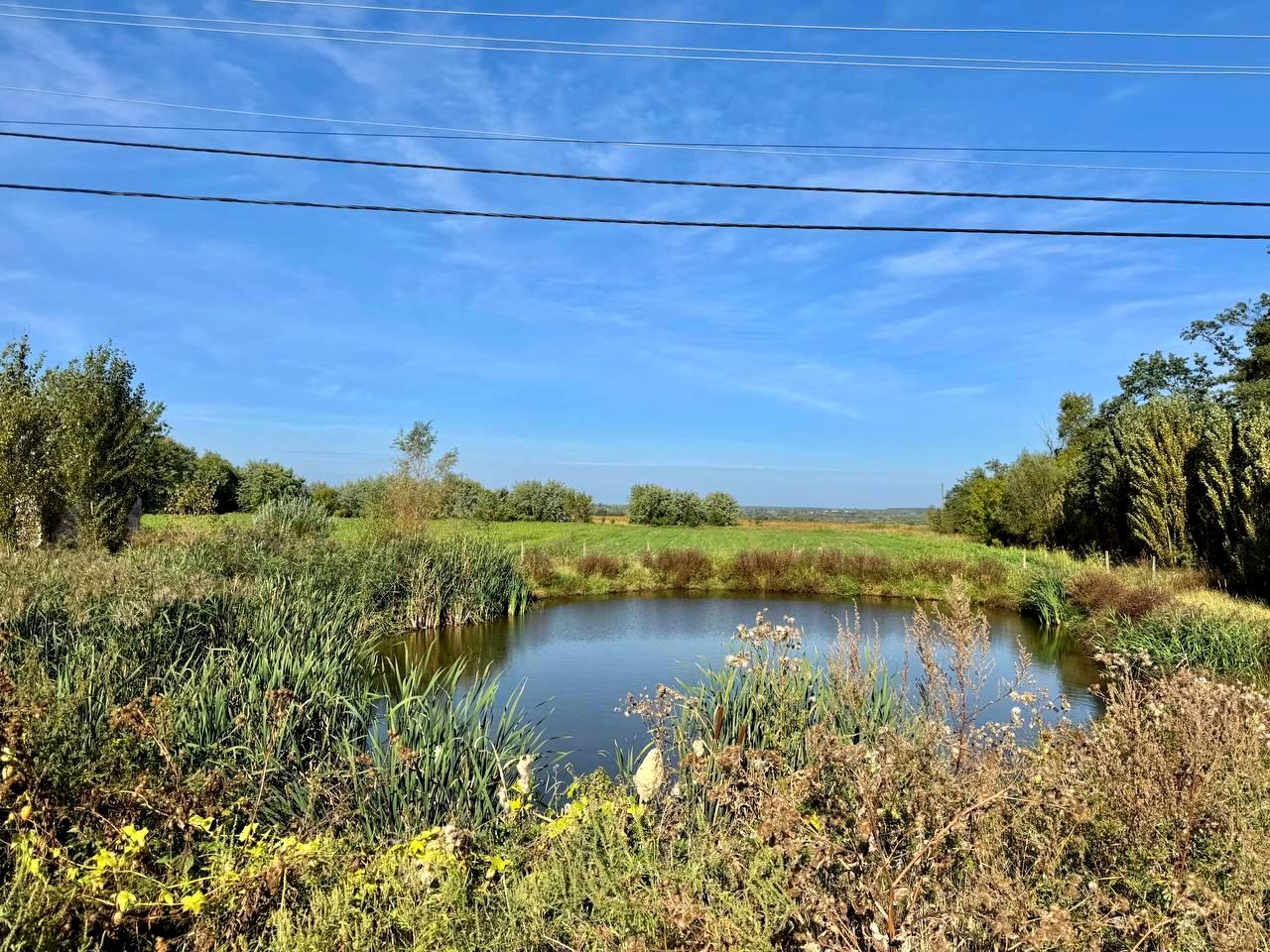 Комерційна нерухомість за адресою вул. Центральна (площа 8200 м²) - Atlanta.ua - фото 5