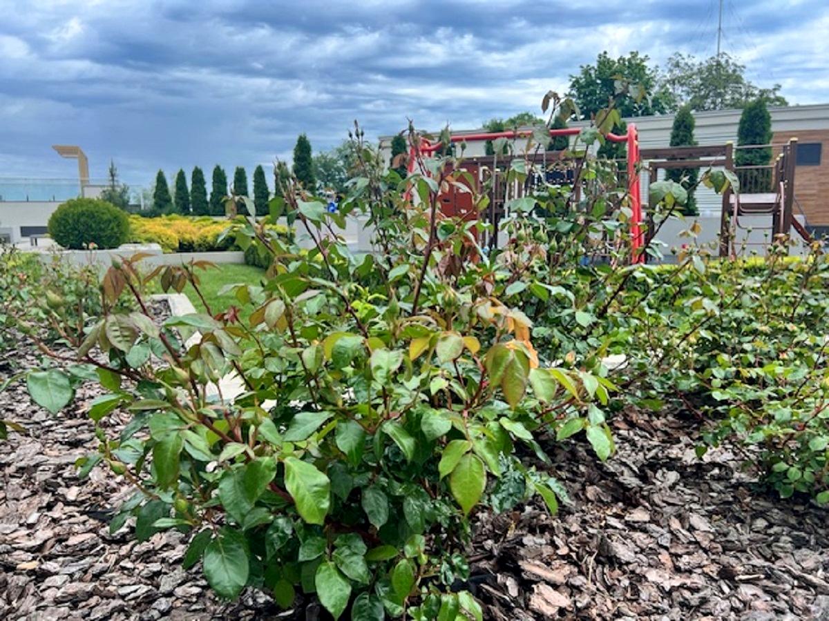 1-комнатная квартира по адресу Маячный пер. (площадь 30 м²) - Atlanta.ua - фото 20