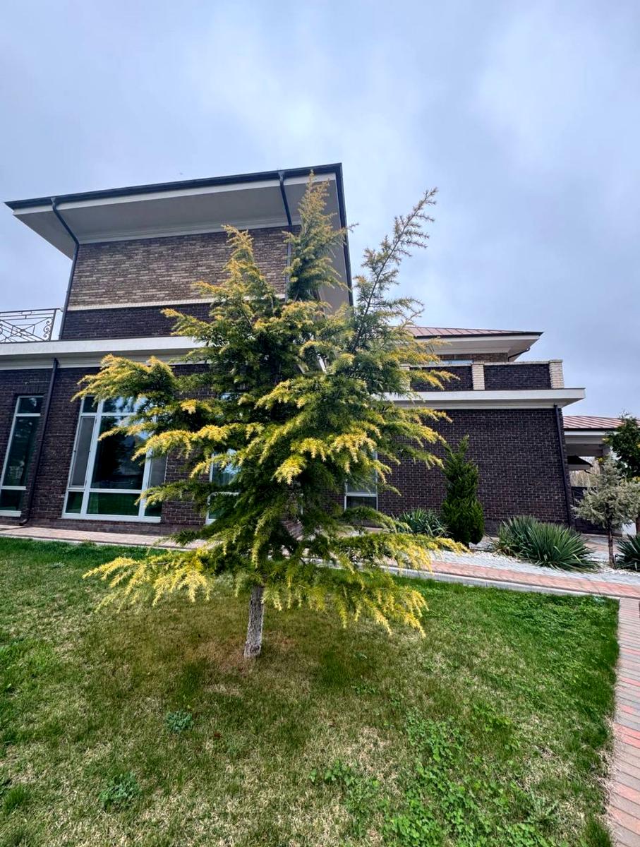 Будинок за адресою вул. Велика садова (площа 800 м²) - Atlanta.ua - фото 5