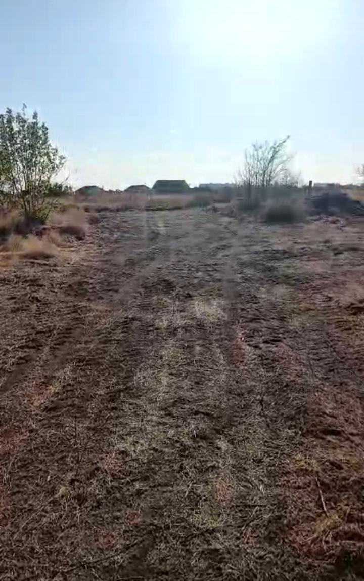 1845951710224354