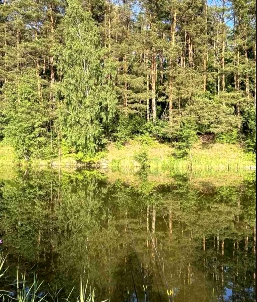 1846585794676354