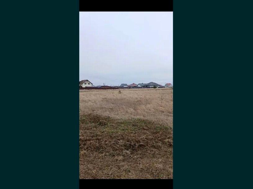 1842698566263355
