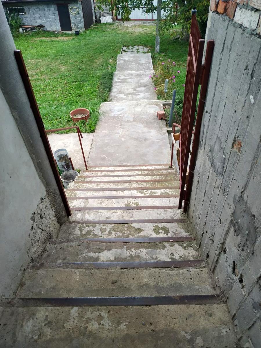 1831295298496358
