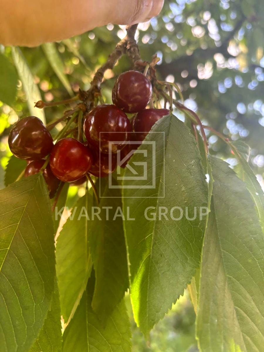 Дом по адресу (площадь 118 м²) - Atlanta.ua - фото 6