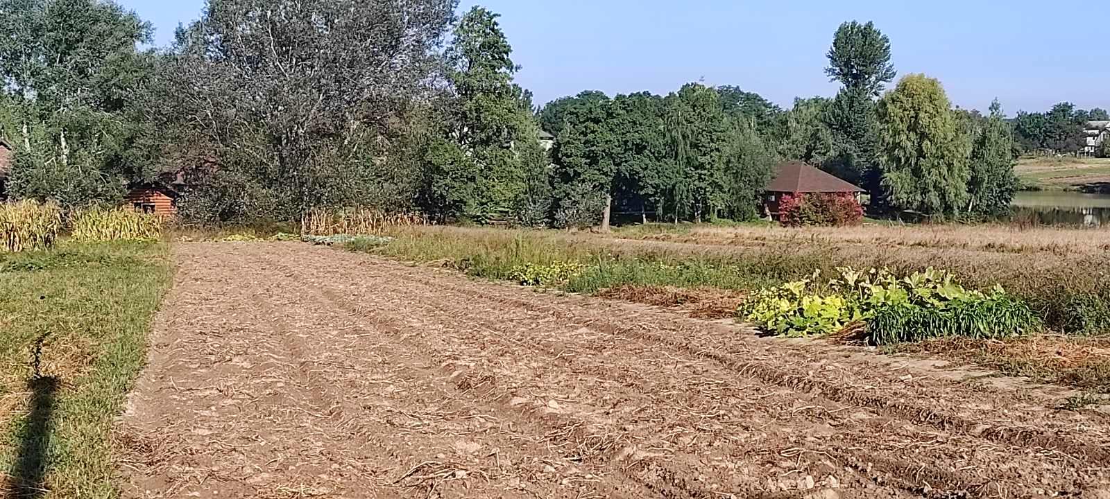 1814966607730363