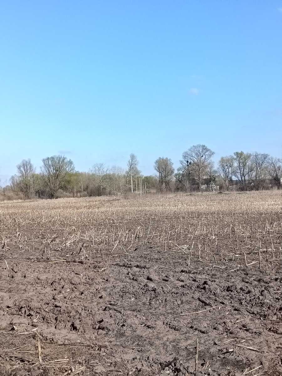 1827996865458375