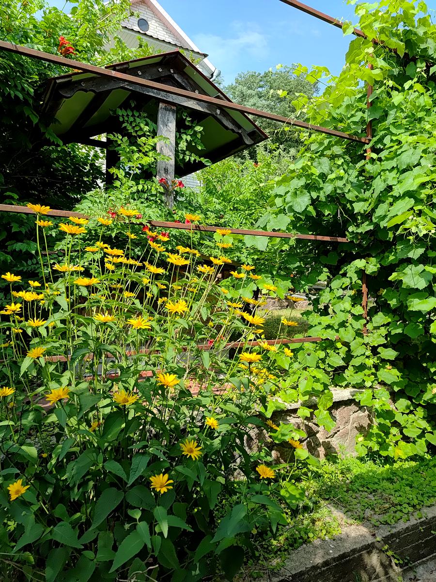 Будинок за адресою вул. Заболотного ак. (площа 90 м²) - Atlanta.ua - фото 30