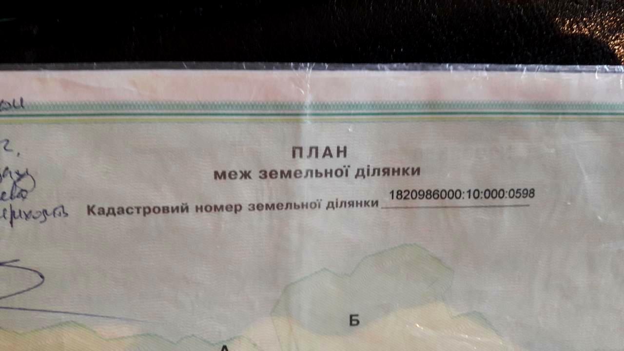 1812892932235384