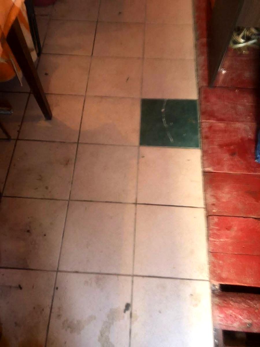 1846516577091389