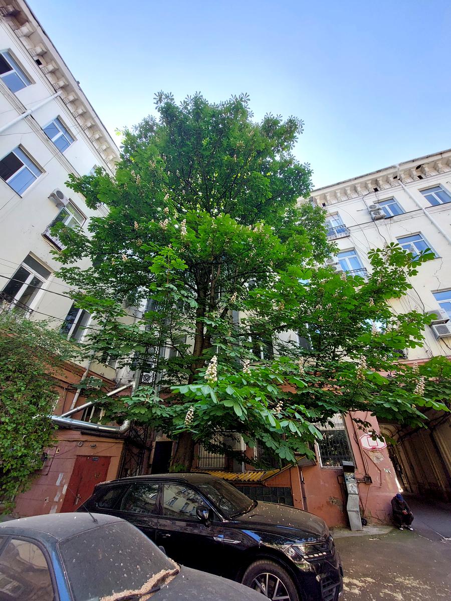 3-комнатная квартира по адресу ул. Ришельевская (площадь 150 м²) - Atlanta.ua - imageAlt 20