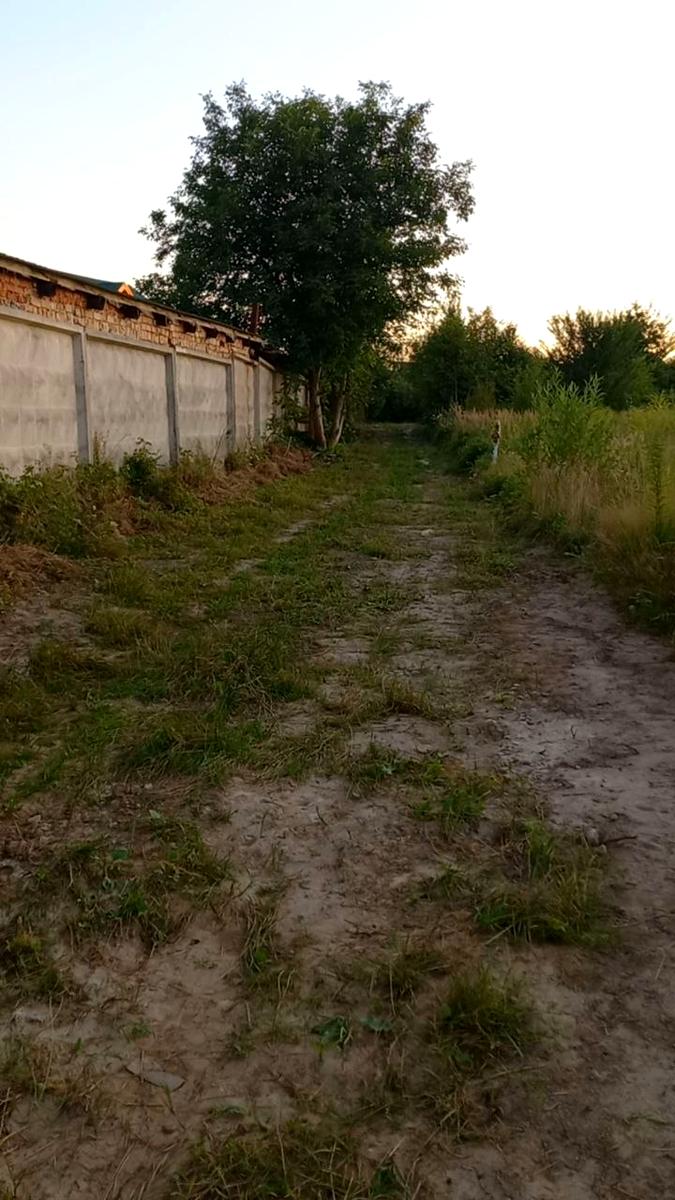 1842768507309394
