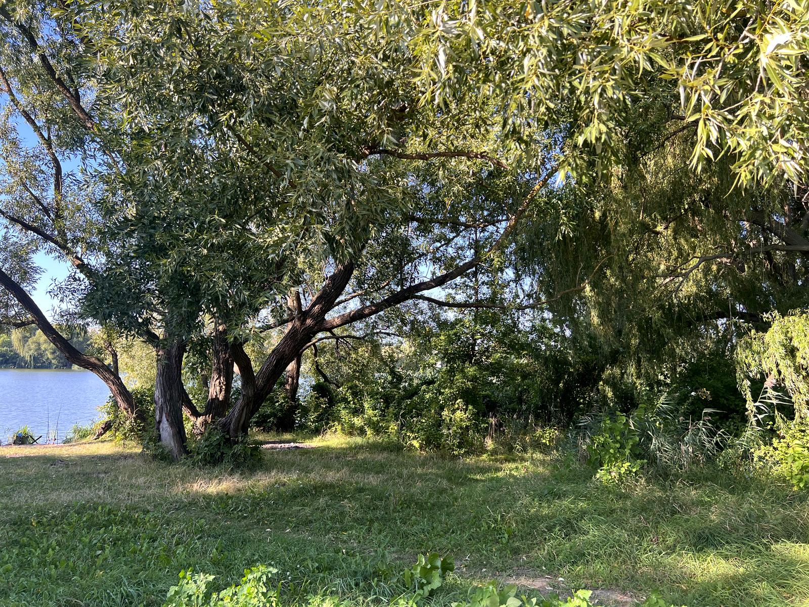 1842810687228401