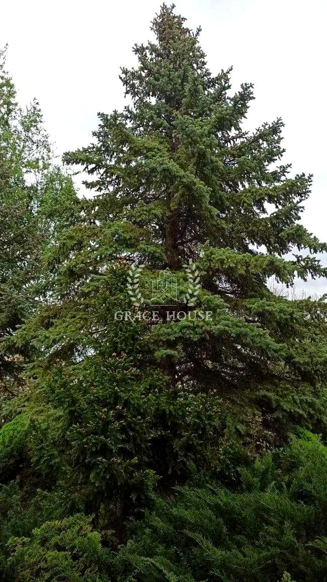 Дом по адресу (площадь 1000 м²) - Atlanta.ua - фото 21