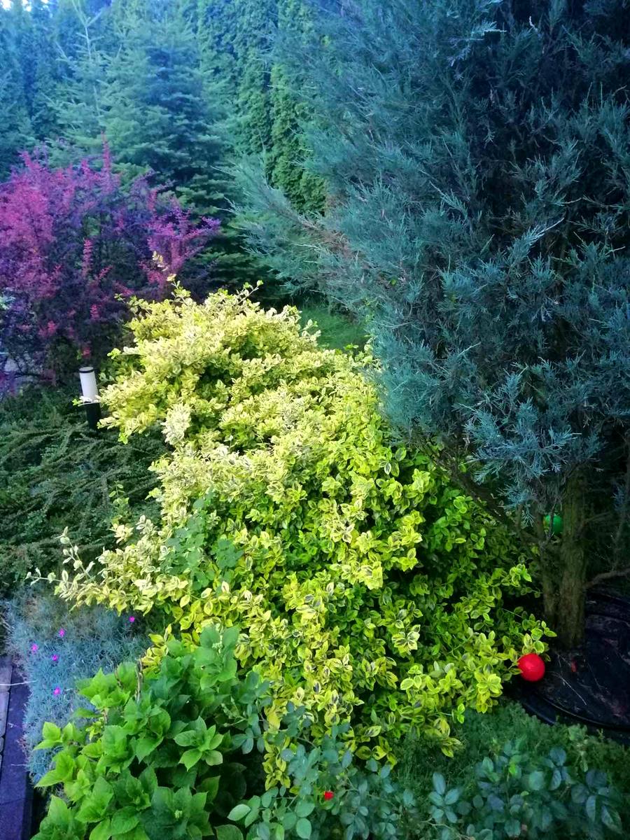 Дом по адресу (площадь 250 м²) - Atlanta.ua - фото 10