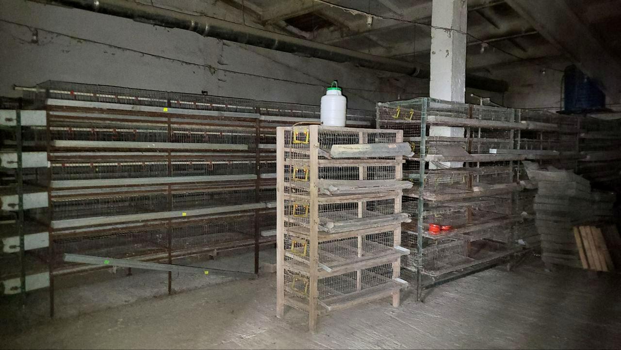 1825034103032418