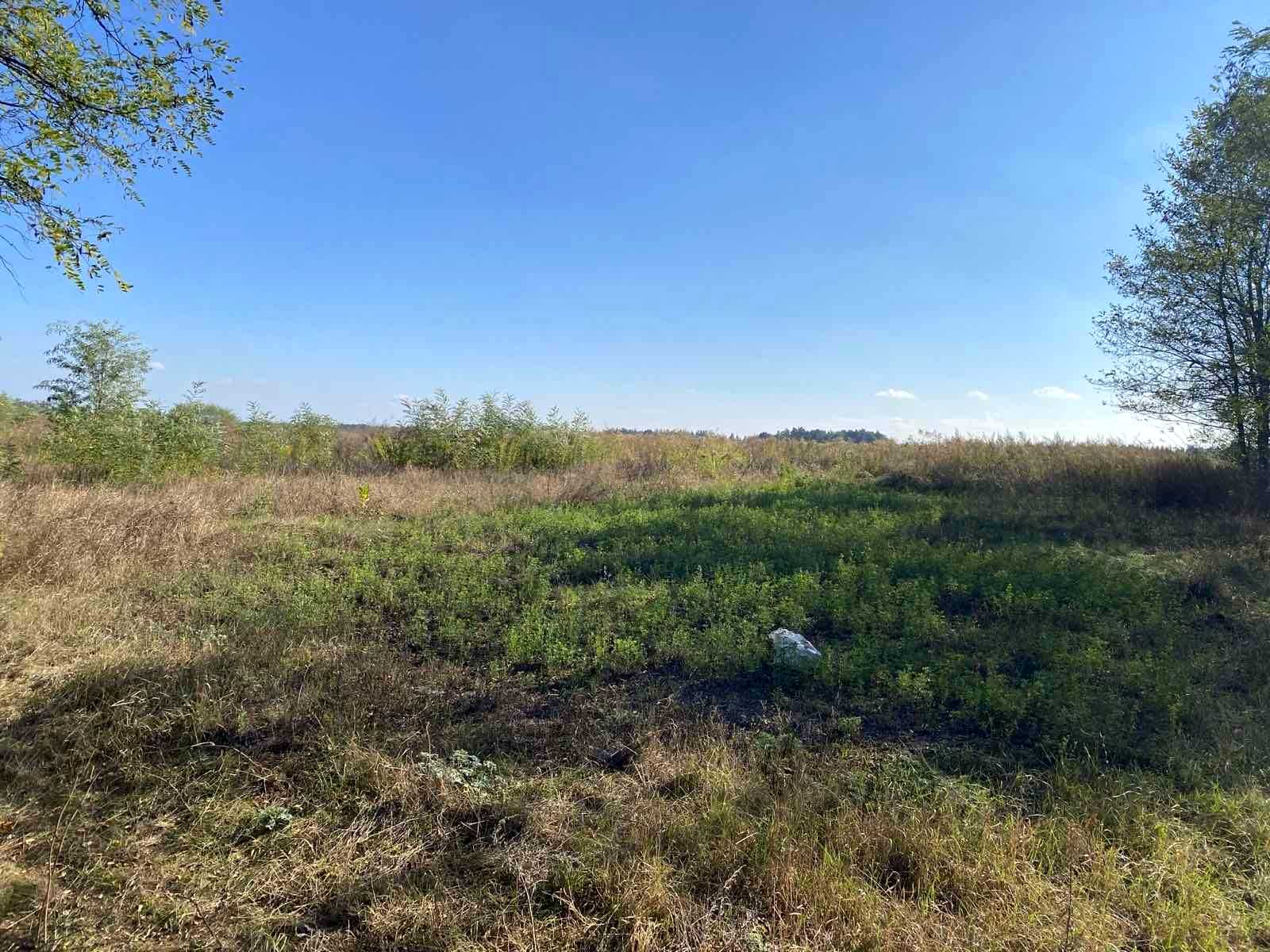 1826591680874446
