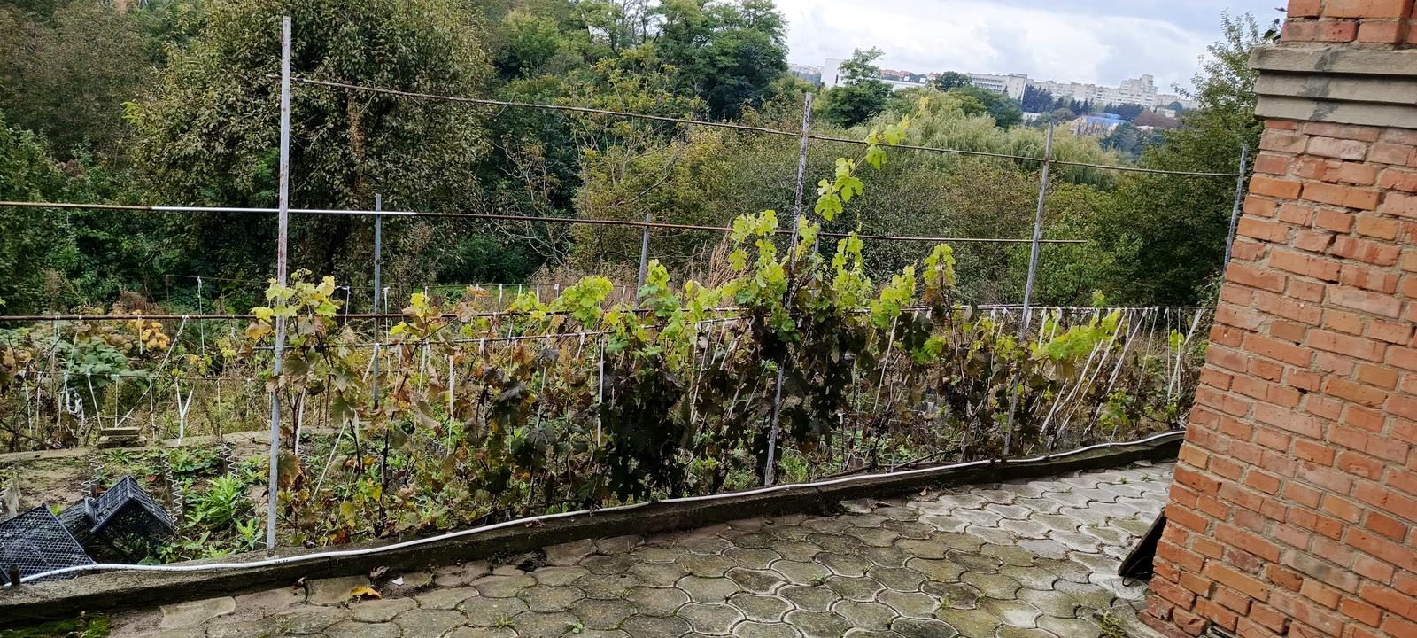 House by the address (area 96 m²) - Atlanta.ua - photo 10