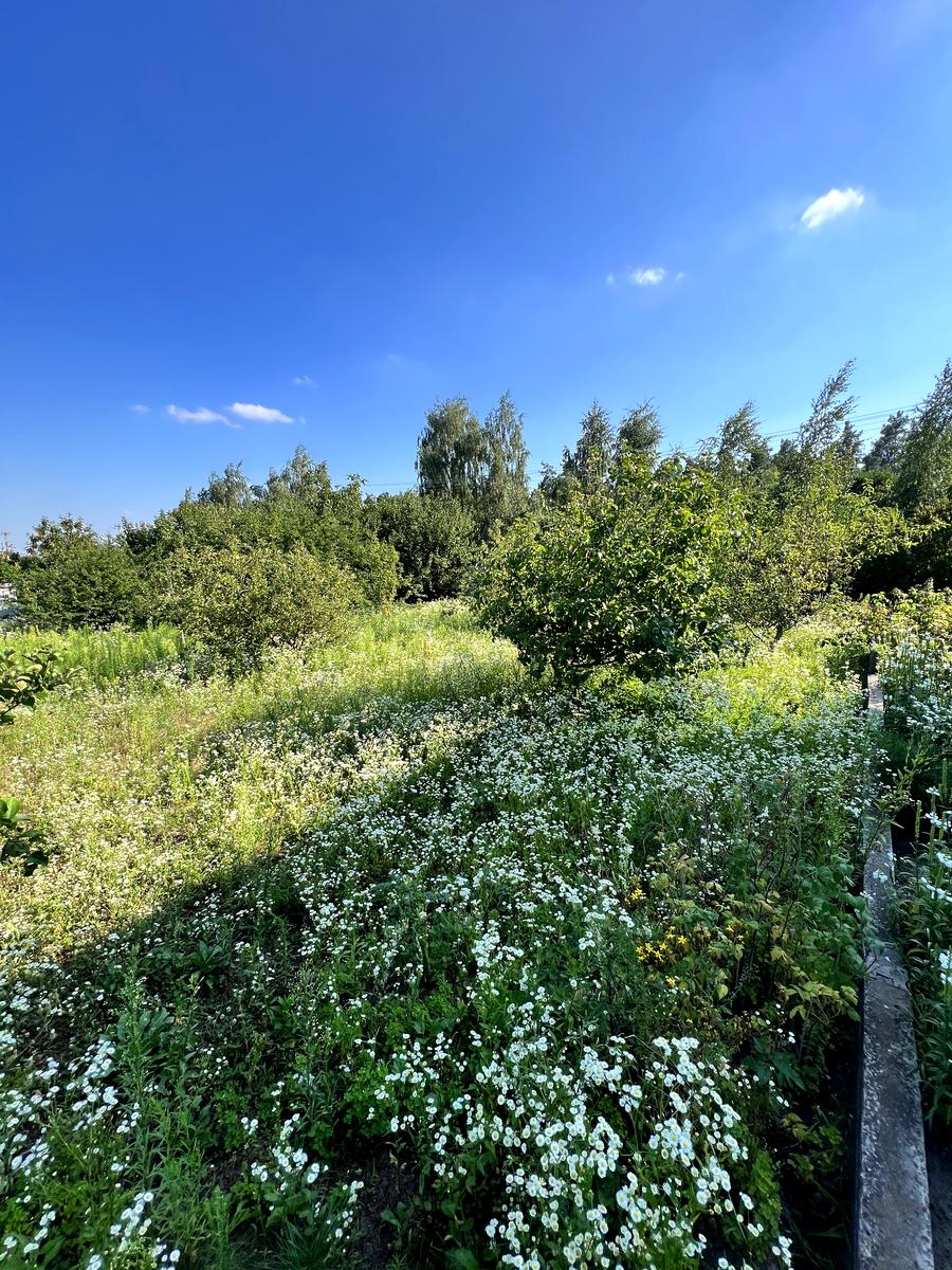 Дом по адресу (площадь 305 м²) - Atlanta.ua - фото 94