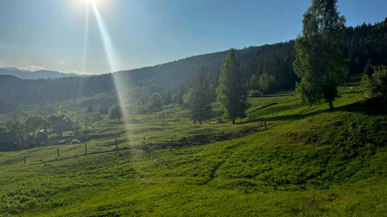 1815601137856459