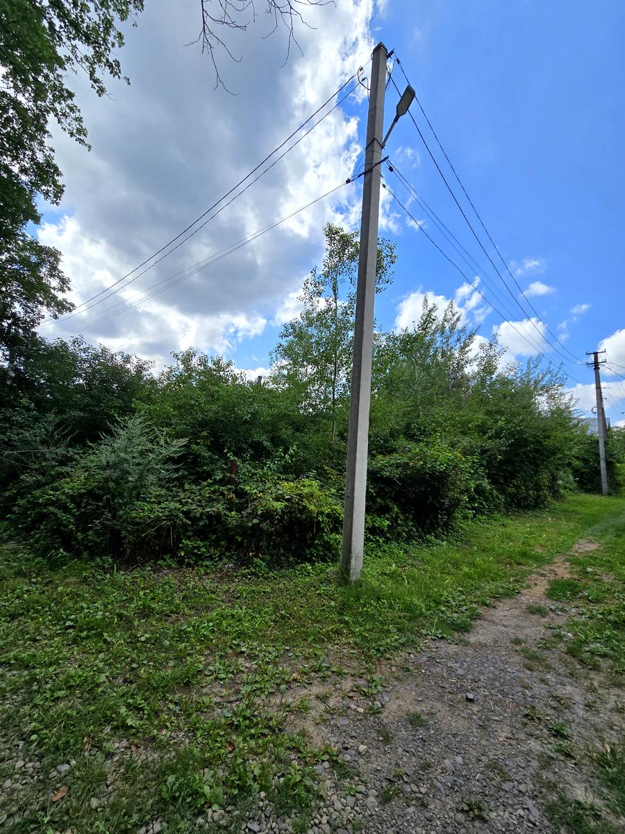 1839620824162462