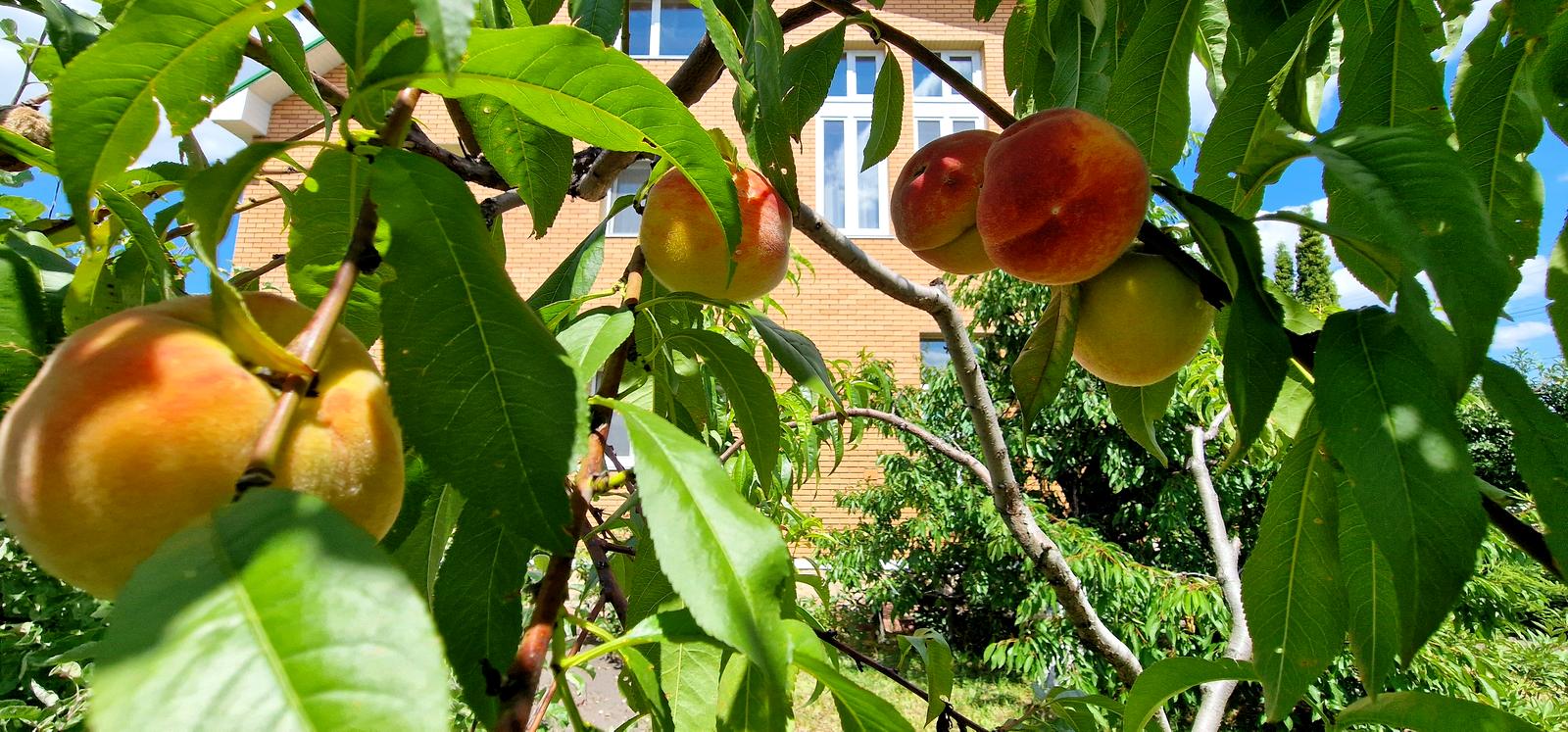 House by the address st. Franka (area 301 m²) - Atlanta.ua - photo 23