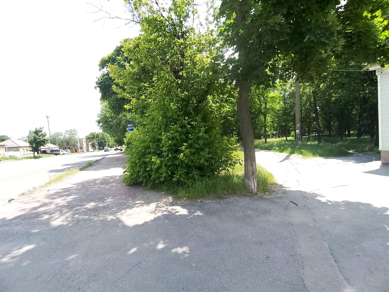 1834086203336485