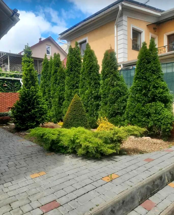 House by the address st. Abrikosovaya (area 238 m²) - Atlanta.ua - photo 8