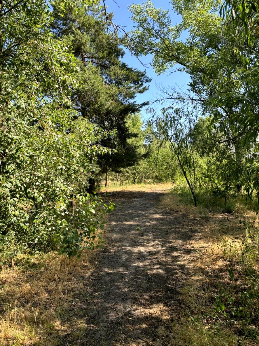 House by the address st. Marselskaya (area 91 m²) - Atlanta.ua - photo 14