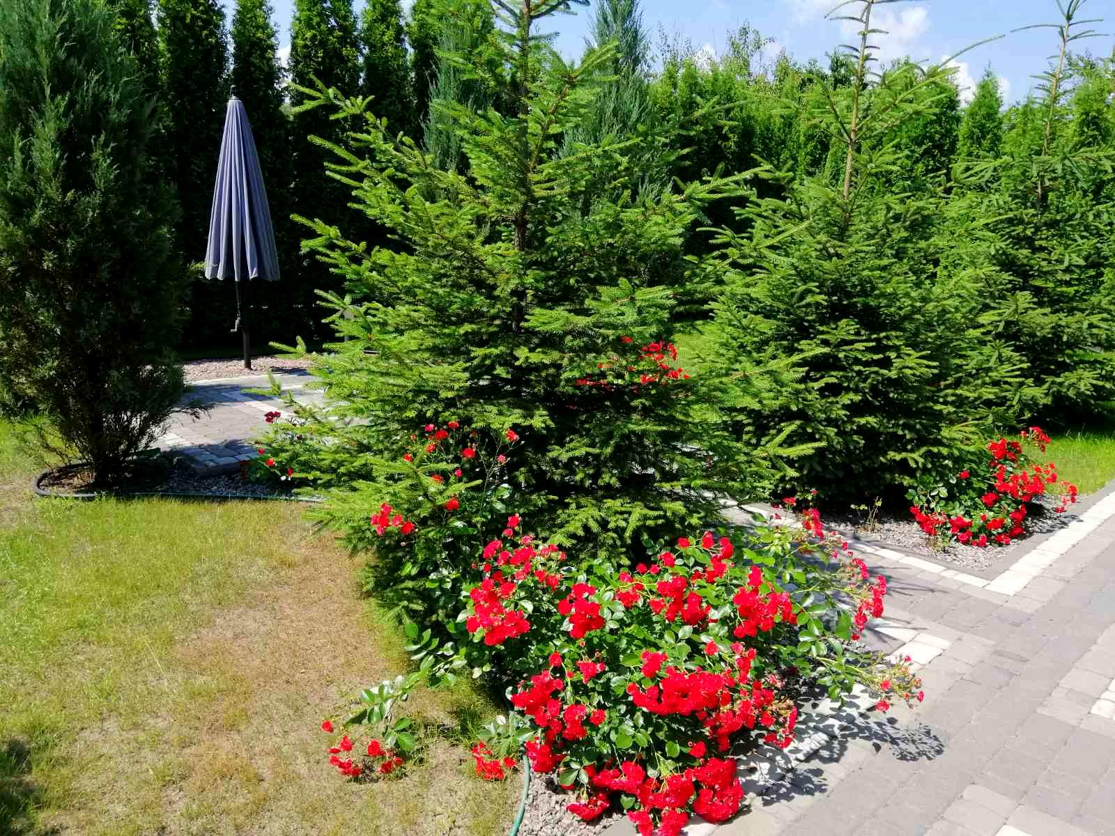 Дом по адресу (площадь 250 м²) - Atlanta.ua - фото 9