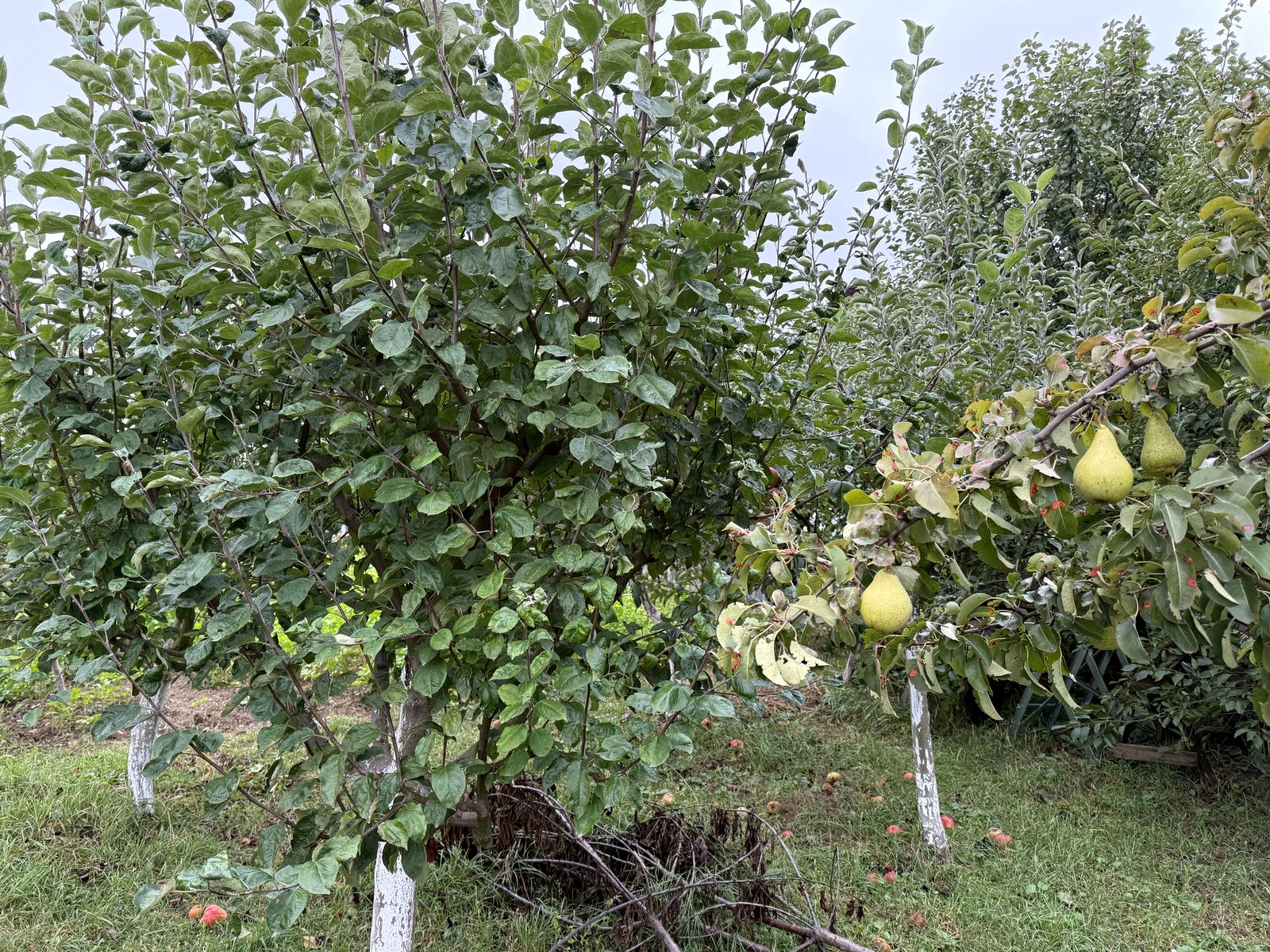 House by the address st. Sagaydachnogo (area 124 m²) - Atlanta.ua - photo 21