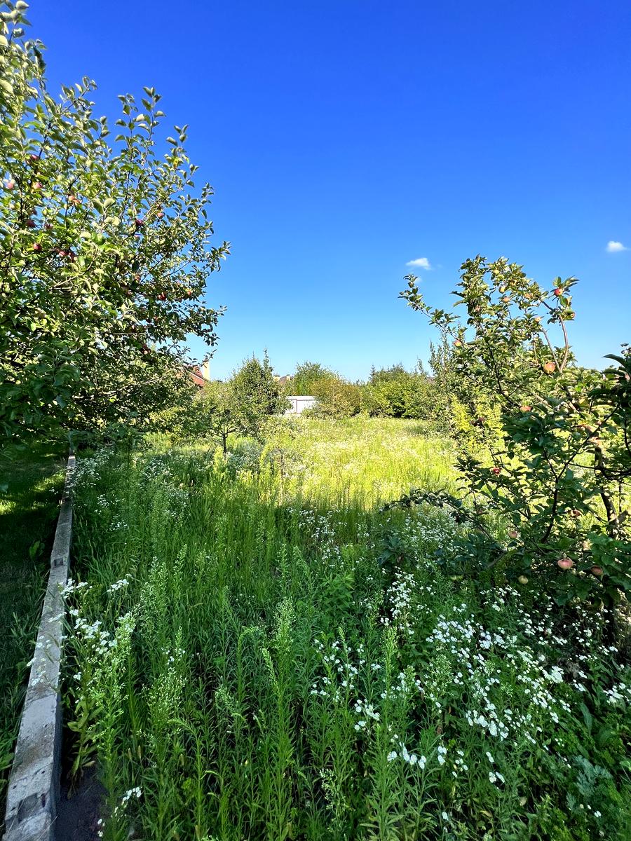 Дом по адресу (площадь 305 м²) - Atlanta.ua - фото 95
