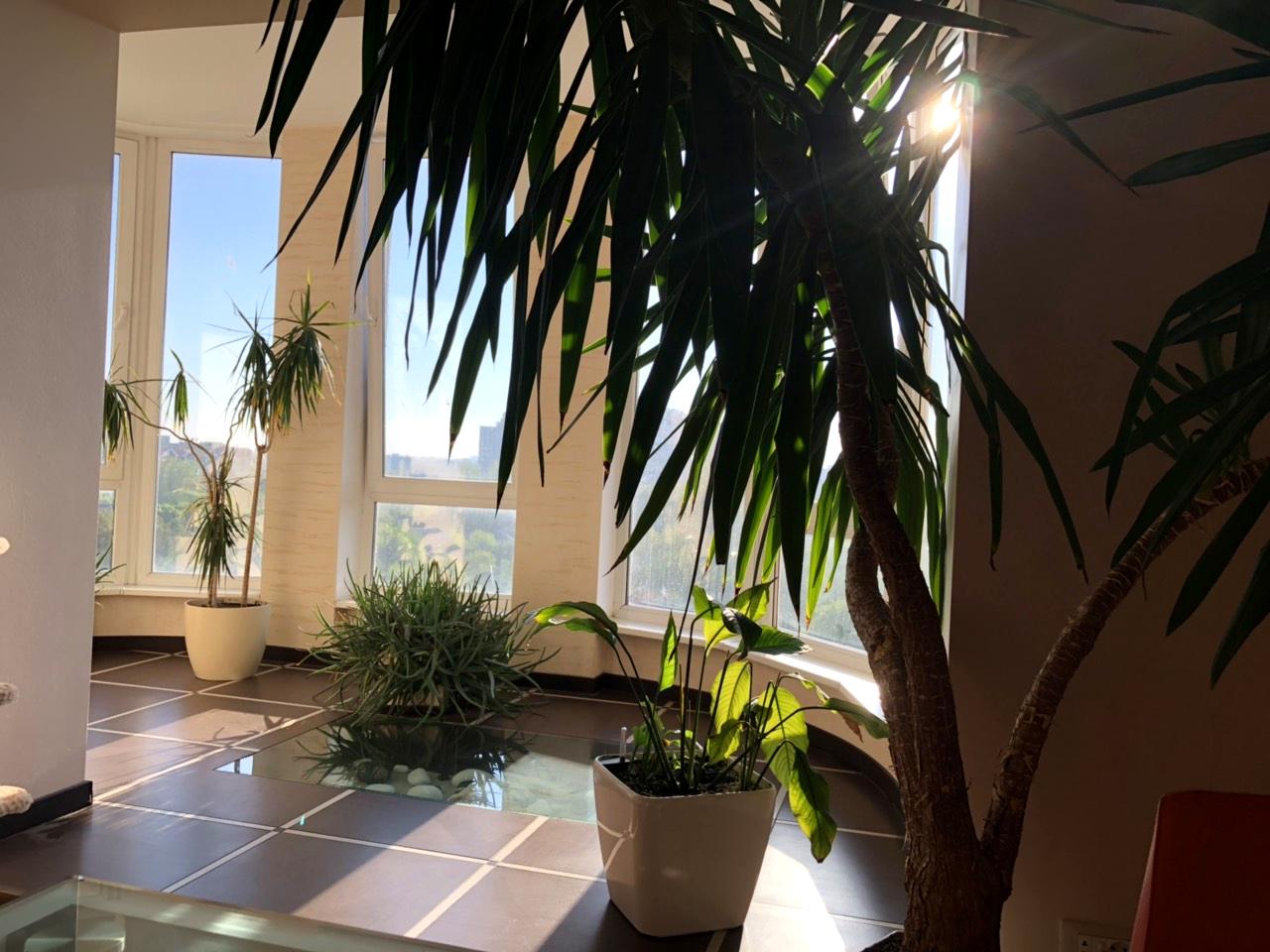 3-rooms apartment apartment by the address st. Observatornyy per Ton Dyk Tkhana per (area 160 m²) - Atlanta.ua - photo 3