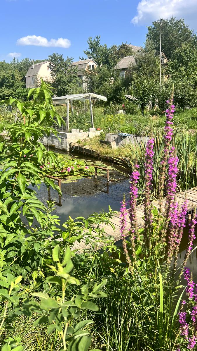 Будинок за адресою вул. Променева (площа 24 м²) - Atlanta.ua - фото 2