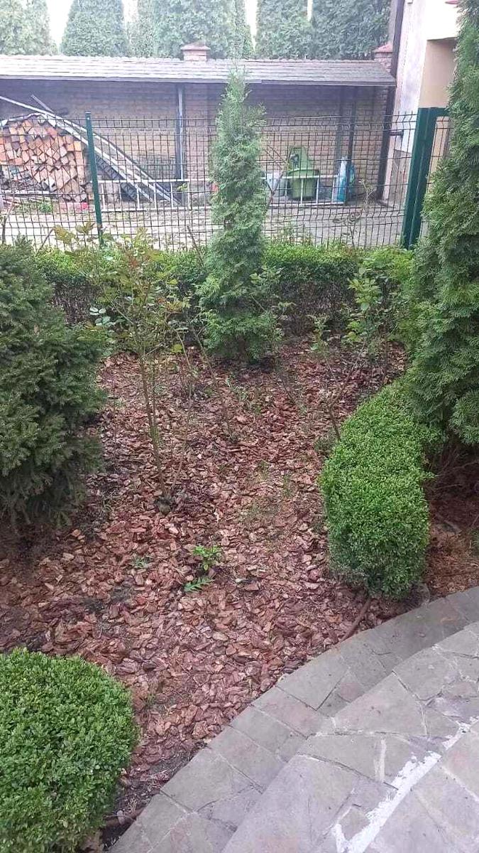 1830362990674535