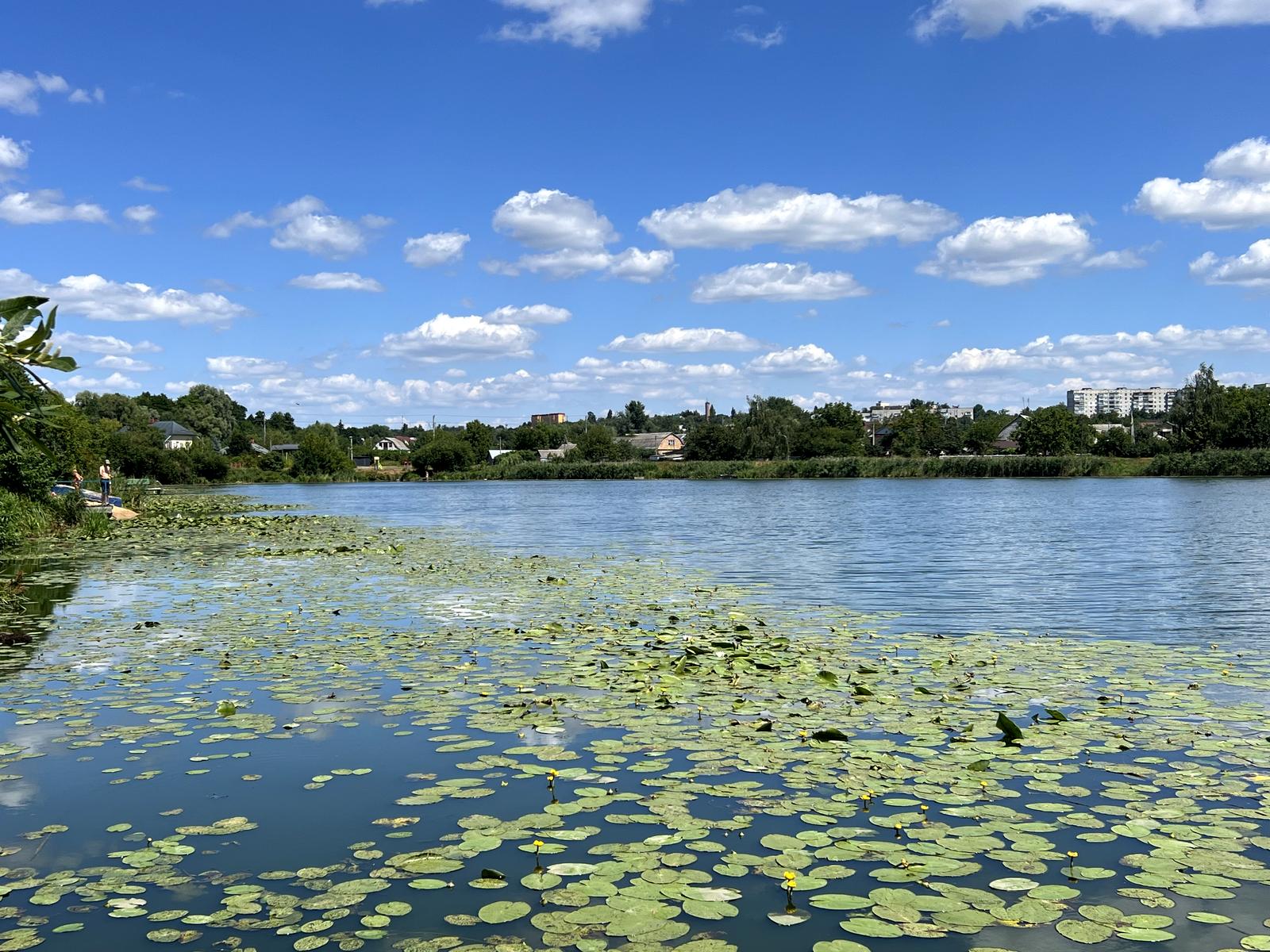 House by the address (area 230 m²) - Atlanta.ua - photo 17