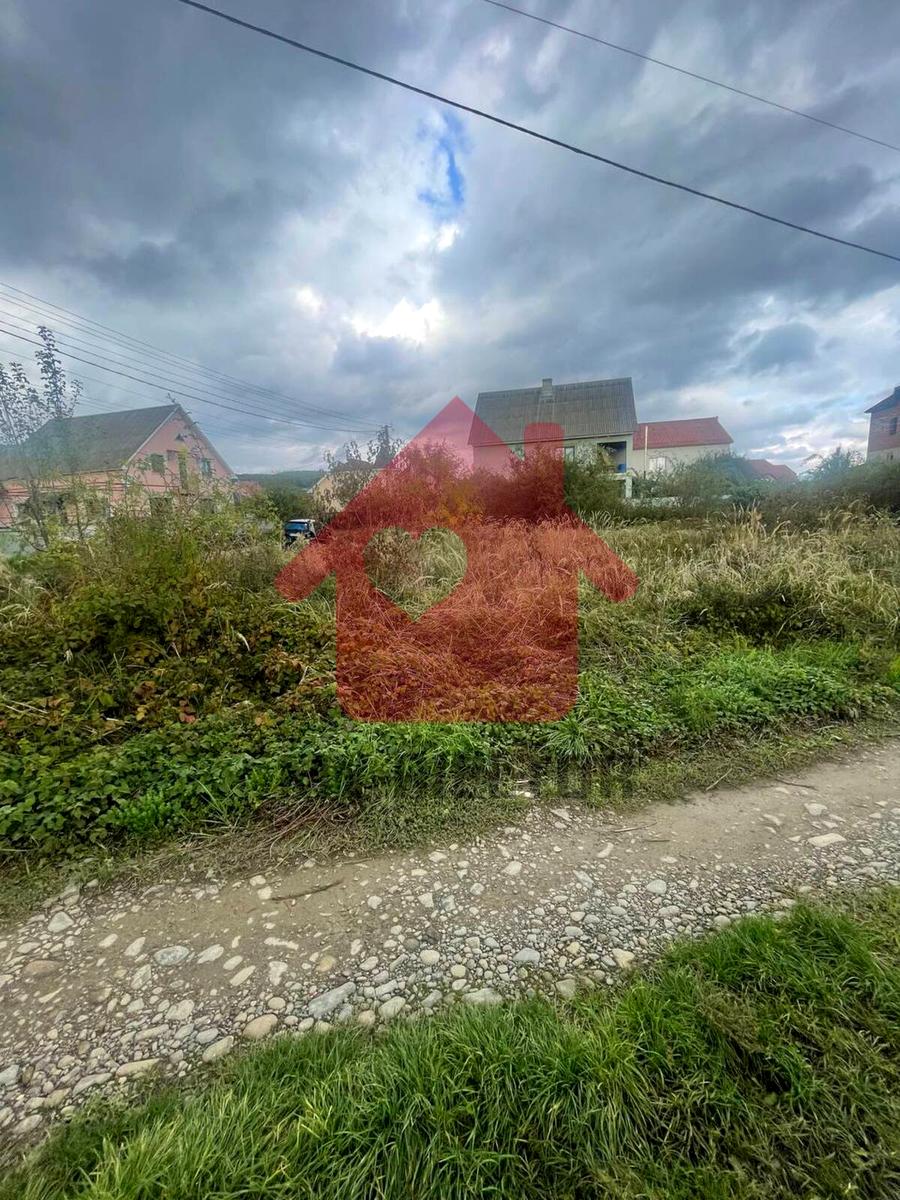 1842873047637539.jpg
