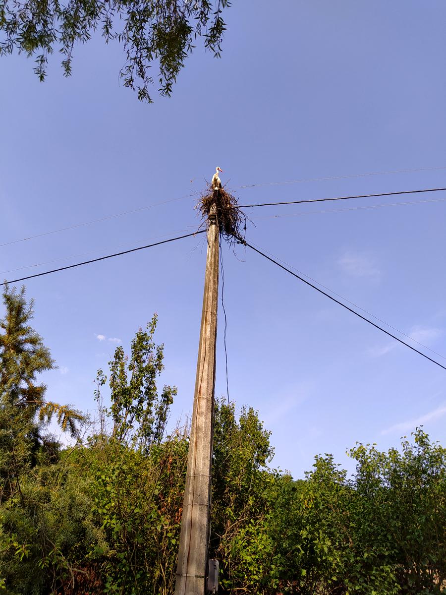 1693200264954541