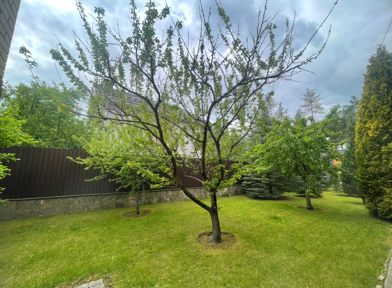 1835458530833542