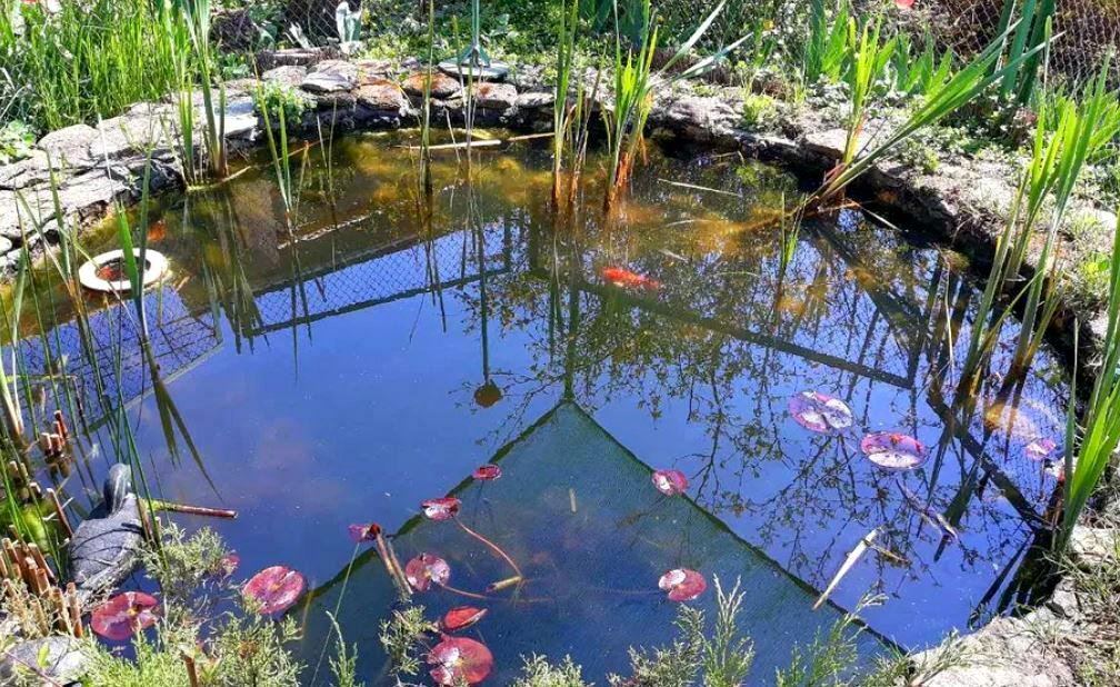 House by the address st. Prigorodnaya 2 ya (area 478 m²) - Atlanta.ua - photo 10