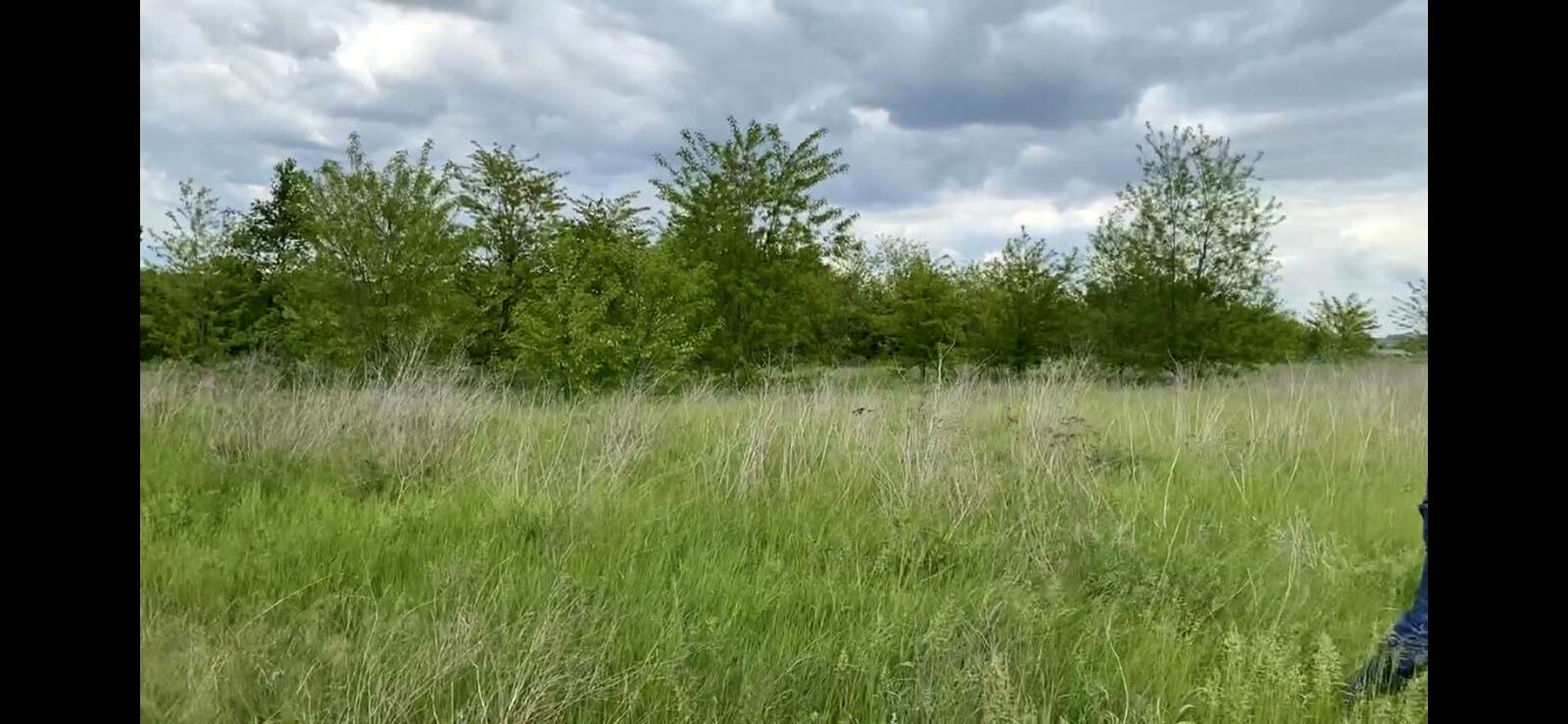 1733799466593549